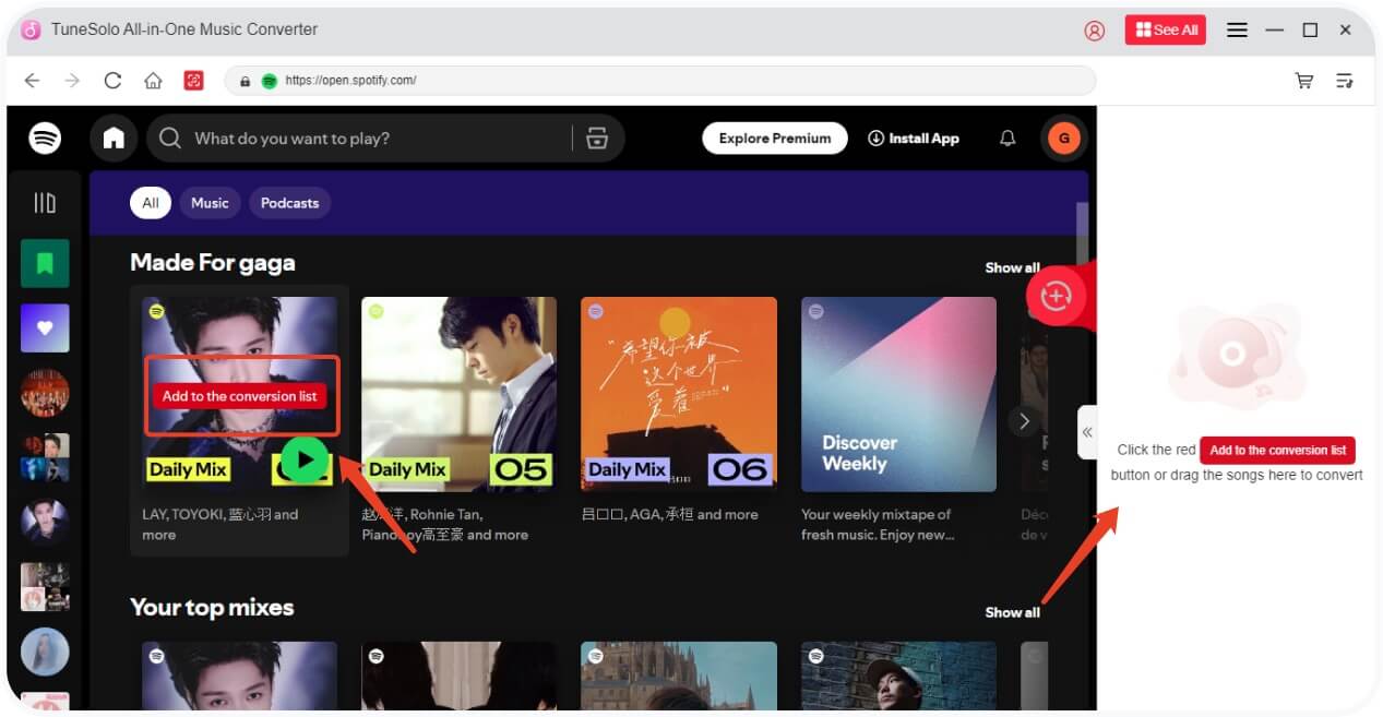 Seleziona Amazon Music Playlist da convertire