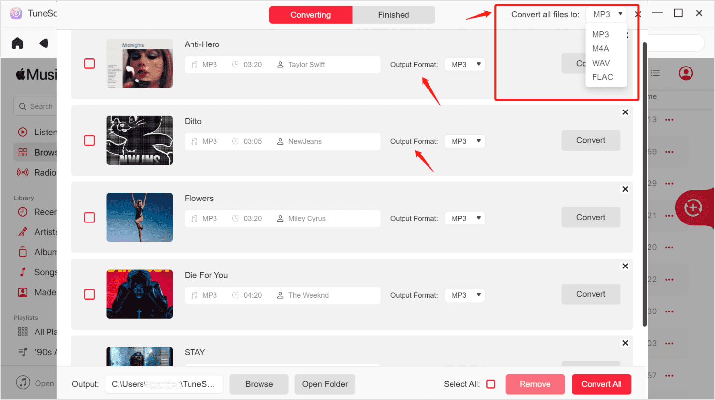 Select the Output Format