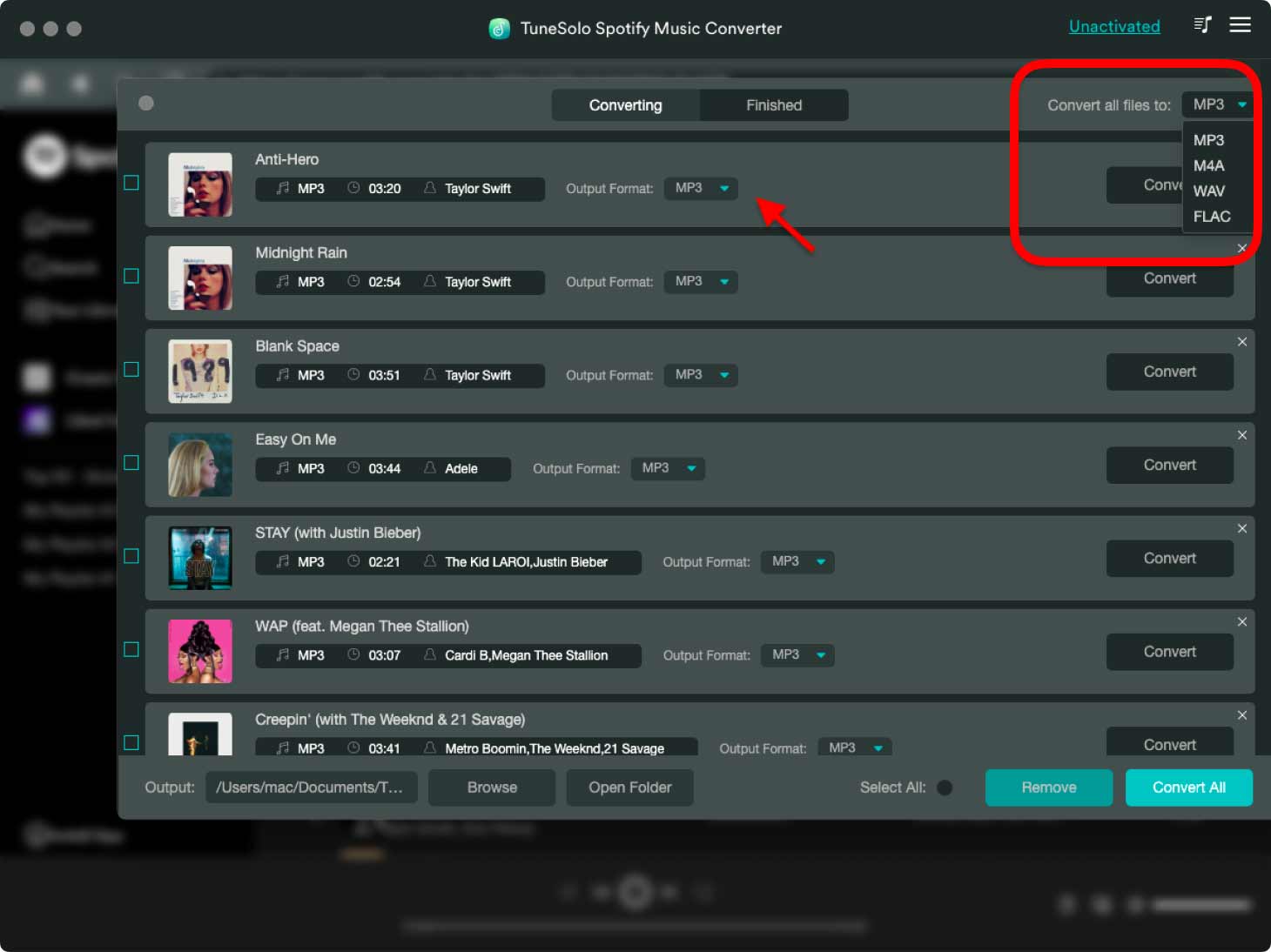 Customize Output Spotify Audio Settings