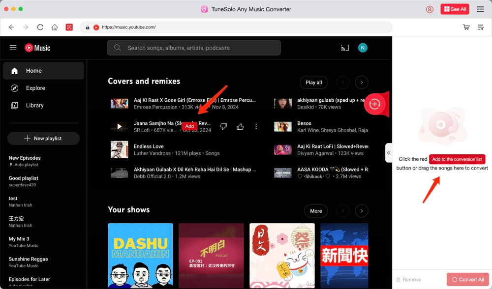 Select songs or playlists to rip