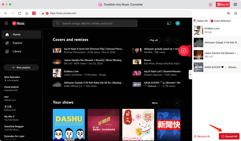 Convert YouTube Music
