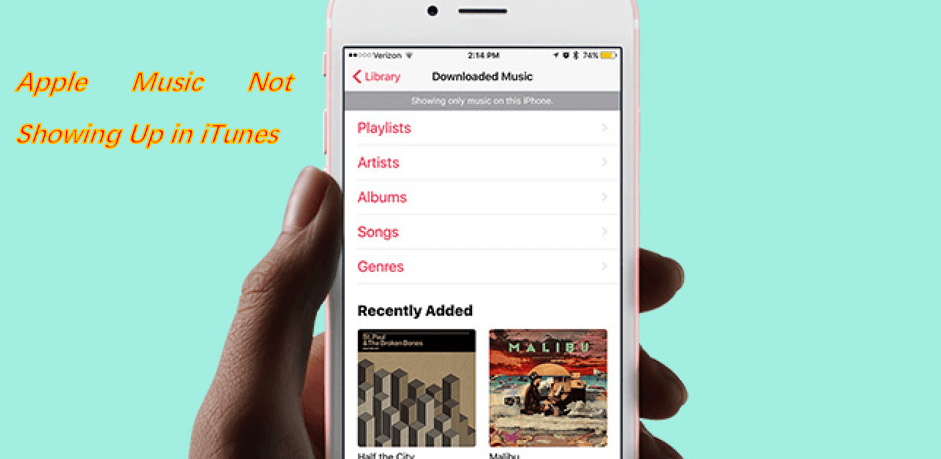 How to Fix Apple Music Not Showing Up in iTunes