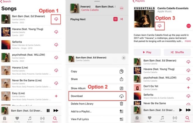 Download Apple Music Playlists on Mobile Phones