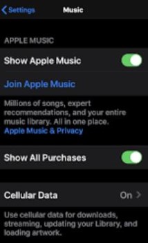 Fix Apple Music Songs Greyed Out Issue