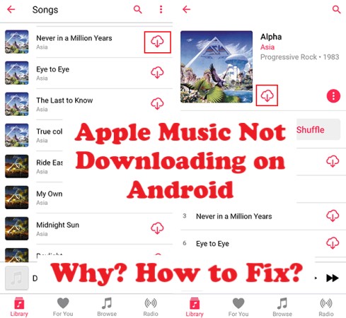 How to Fix Apple Music Not Downloading on Android Issue