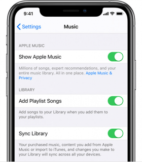 Check Apple Music Setting