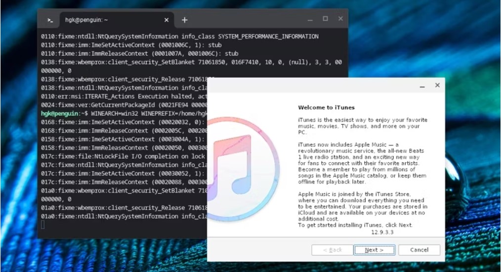 How to Install iTunes on Chromebook with Linux