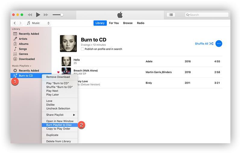 Remove DRM from Apple Music by Burning to CD