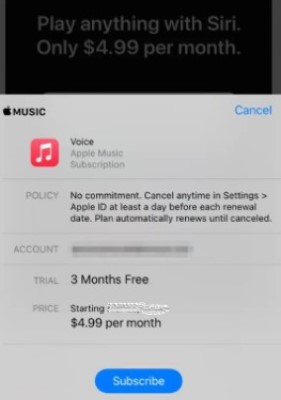 Is Apple Music Voice Plan Worth It