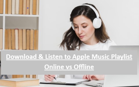 Listen to Apple Music Playlist Online vs Offline