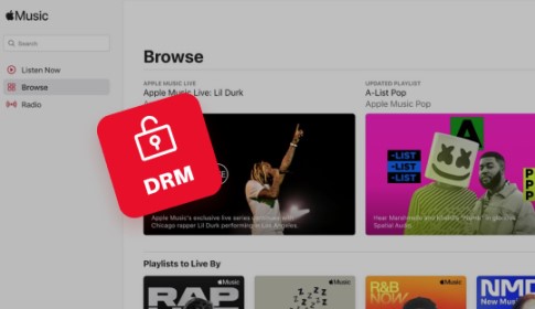 Why We Need An Apple Music Converter