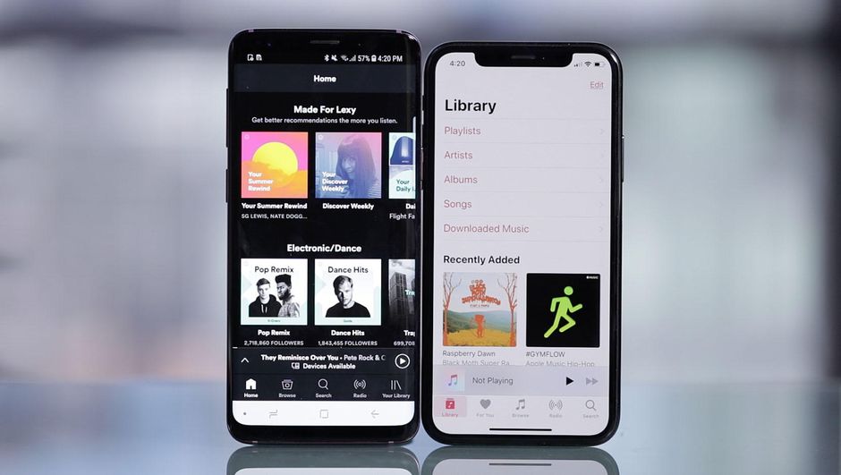 Apple Music Library VS Spotify Library