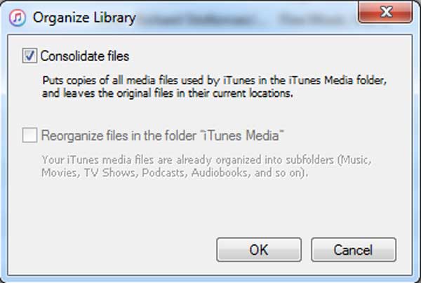 Trova la cartella iTunes Media