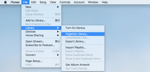 Consolidate iTunes Library