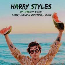 Harry Styles의 수박 설탕