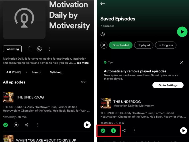 How to Download Spotify Podcasts on Mobile Phones