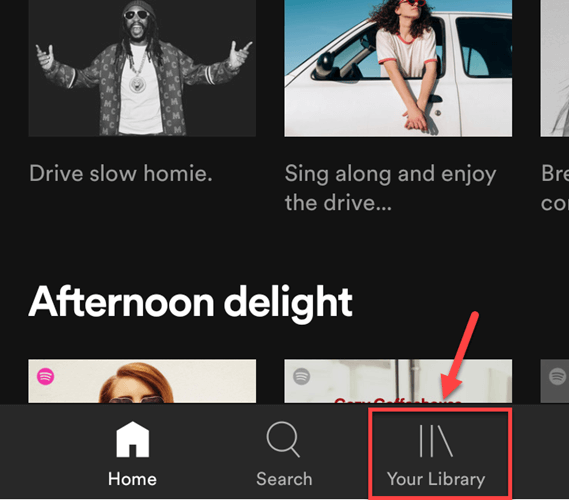 Download Spotify Songs With Premium On Your Phone
