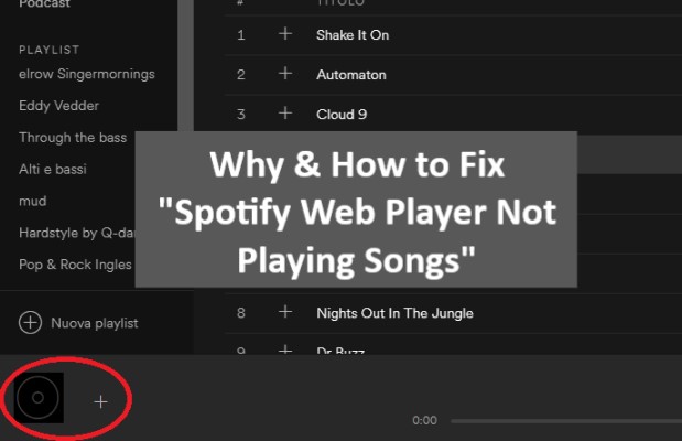 How to Fix Spotify Web Player Not Playing Songs Issue