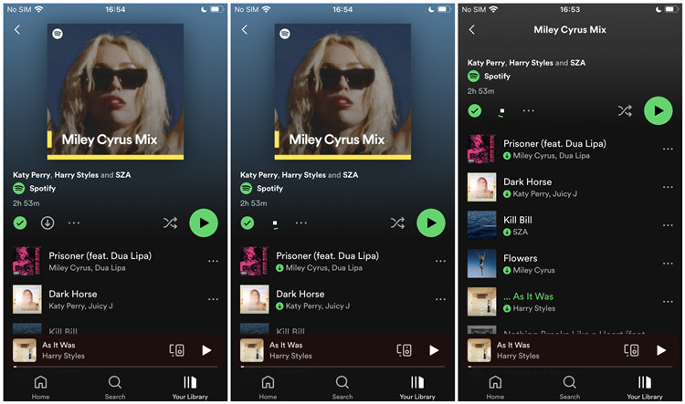 Download Spotify Songs before Boarding