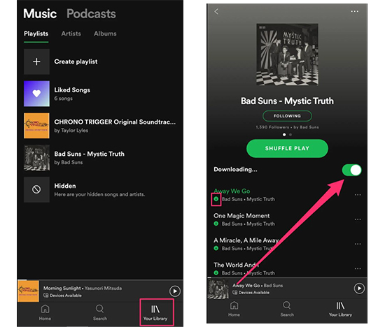 Download Spotify Music to Android with Premium