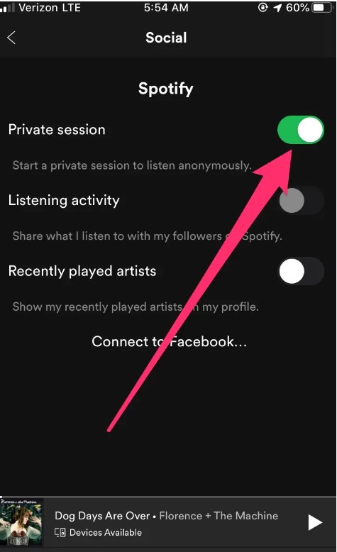 Enable A Private Session on Spotify