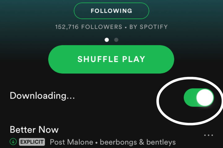 Come scaricare Spotify Canzoni su Iphone con Premium