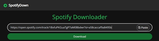 How to Rip Spotify Music Online with SpotifyDown