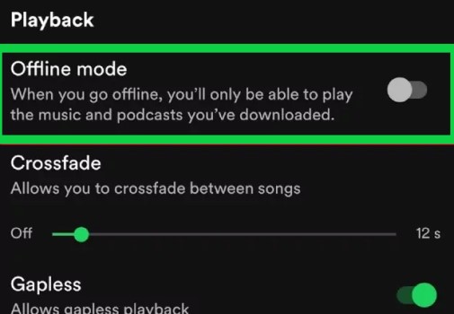 Play Spotify Music Without Internet Connection