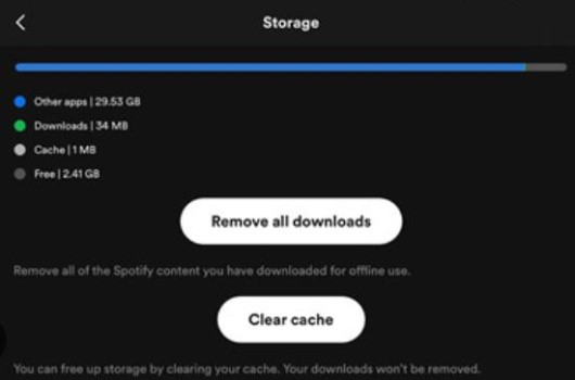해결 Spotify 다운로드 사라짐 문제
