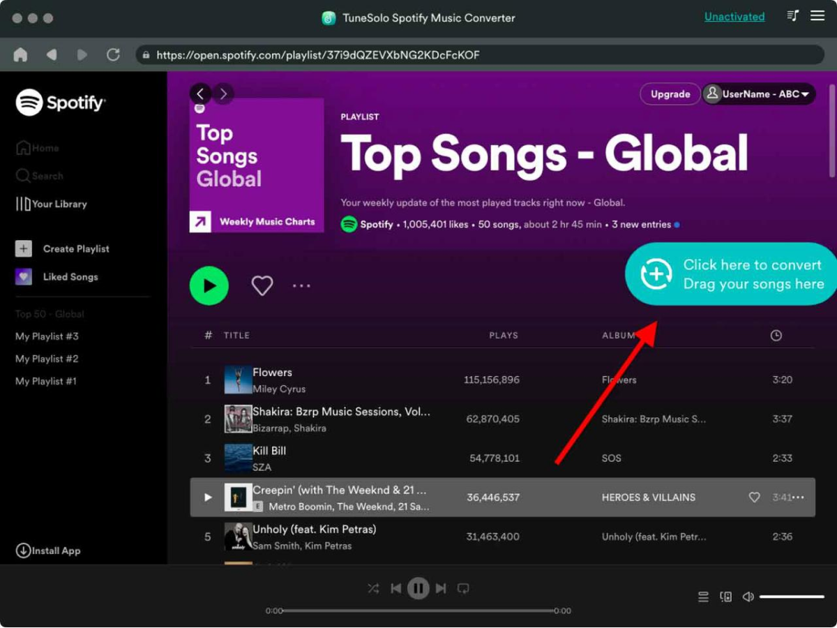 Log in to the built-in Spotify web player